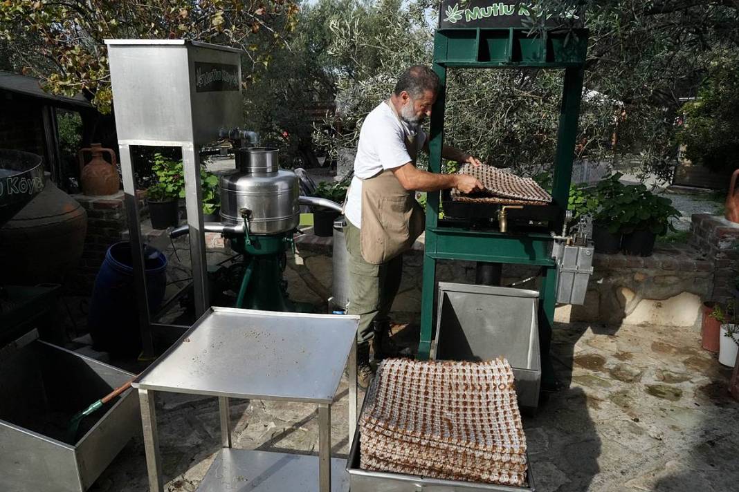 Taş devri yöntemiyle en kral zeytinyağını çıkarıyor! 3